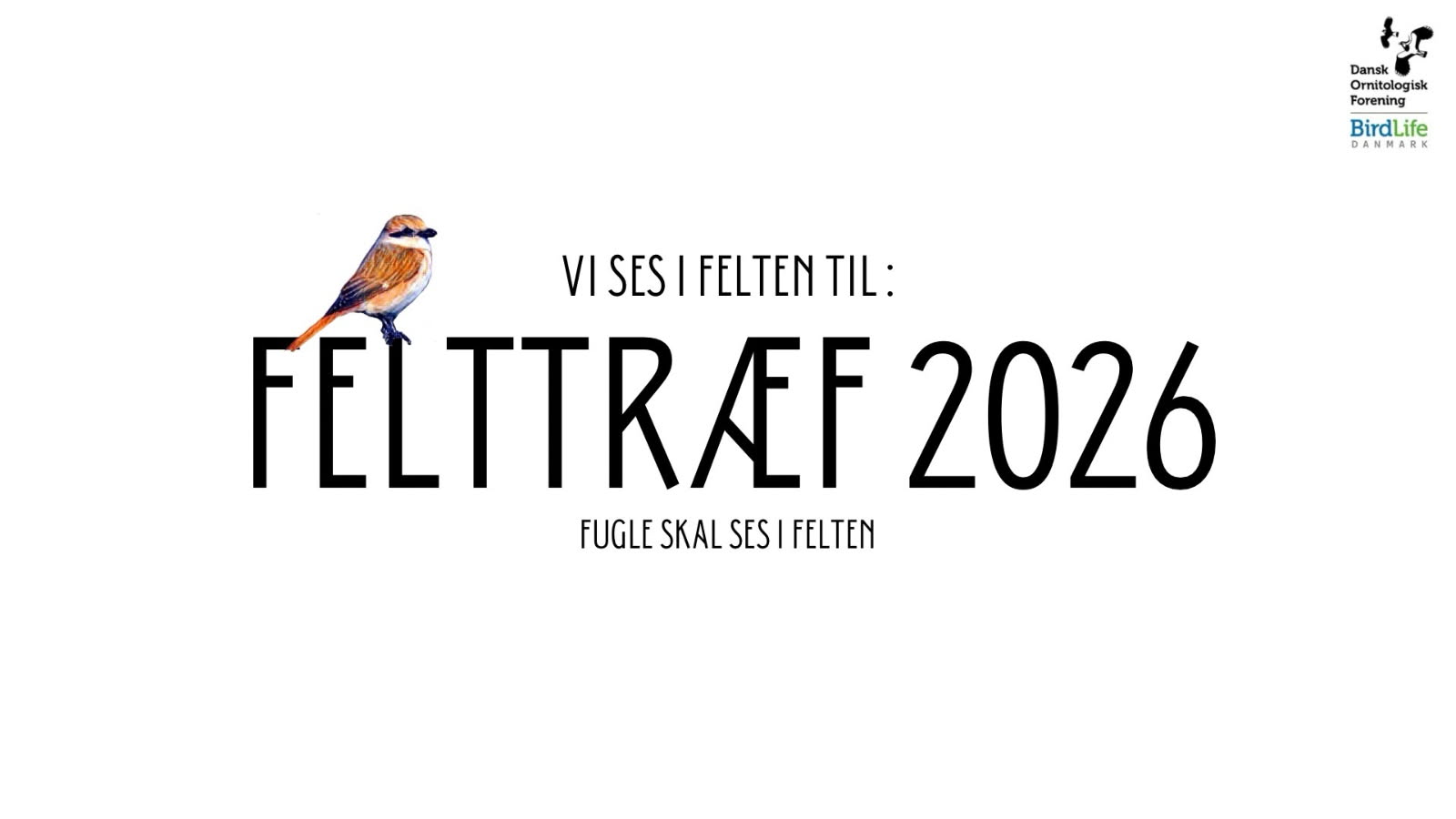 Felttræf 2026